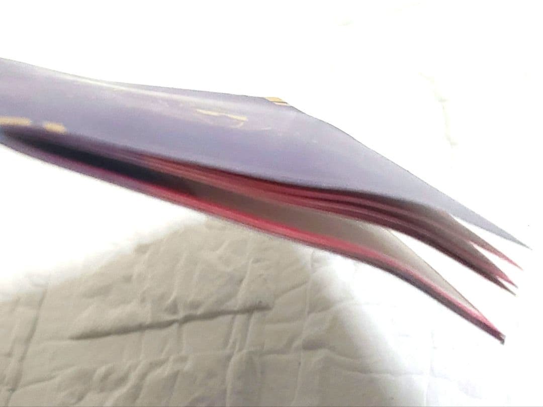 たまパスポート & たまステッカー8枚 セット Tamagotchi Uni