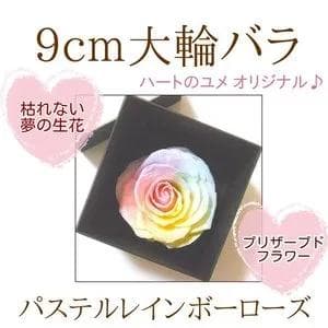 【高級プリザーブドフラワー】大輪バラ パステルレインボーローズ ボックス
