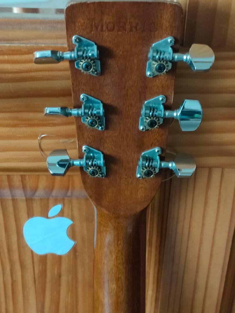 モーリス レスターフラットギター