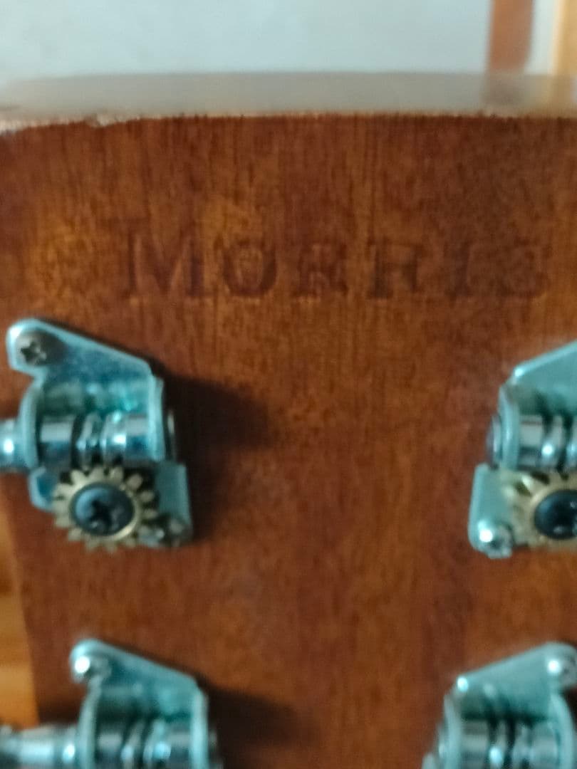 モーリス レスターフラットギター