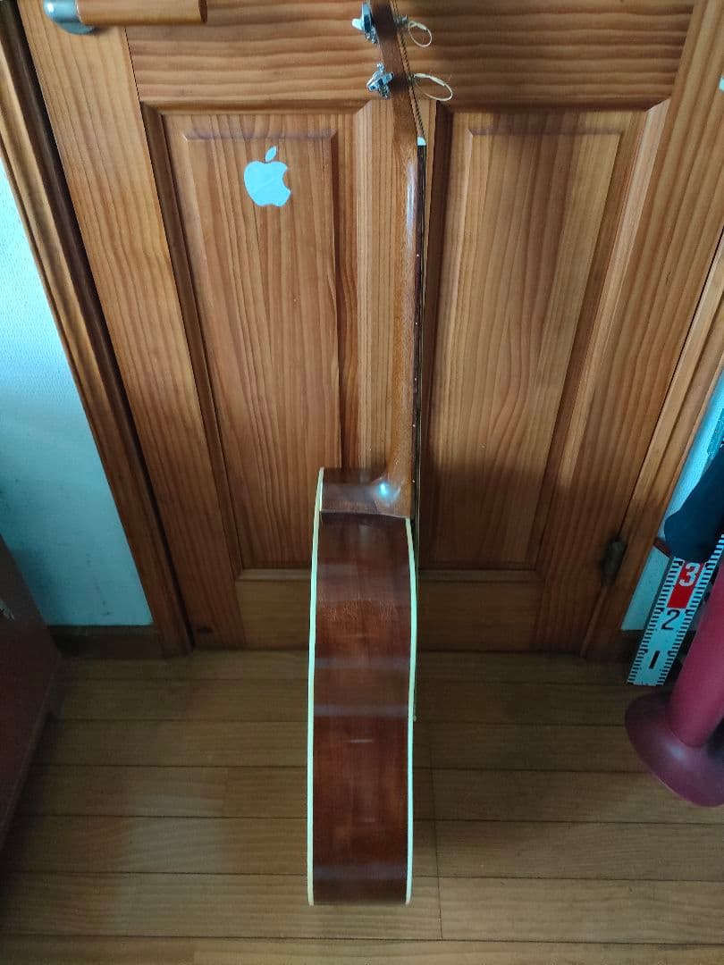 モーリス レスターフラットギター