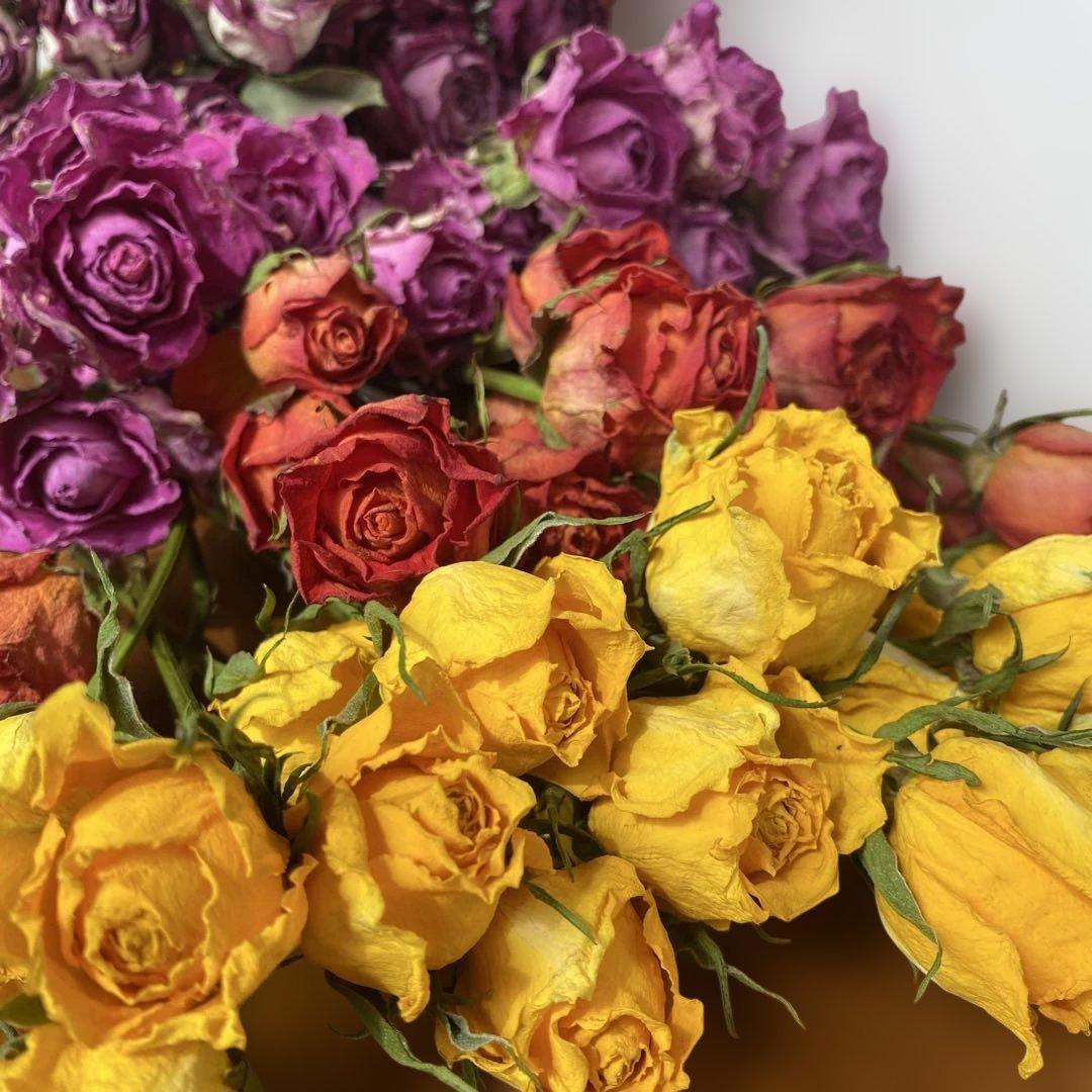 65.ドライフラワー花材バラ30cm前後100本