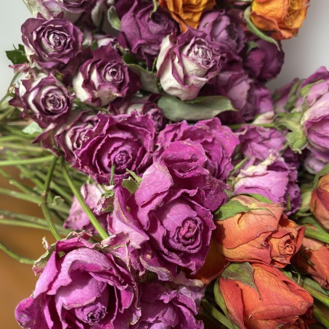 65.ドライフラワー花材バラ30cm前後100本