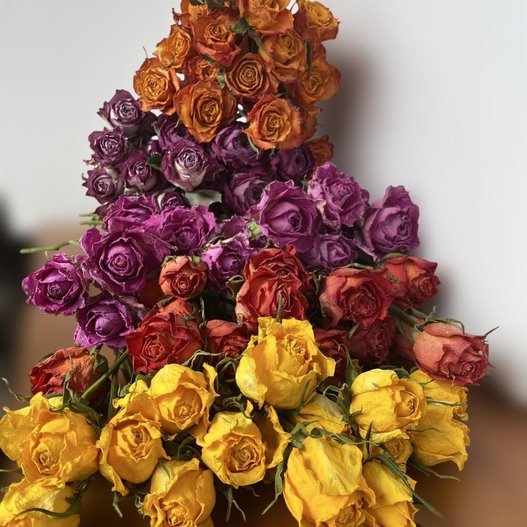 65.ドライフラワー花材バラ30cm前後100本