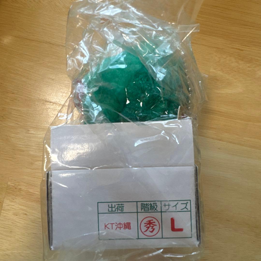 沖縄限定 ゴーヤーご当地キティ ぬいぐるみ