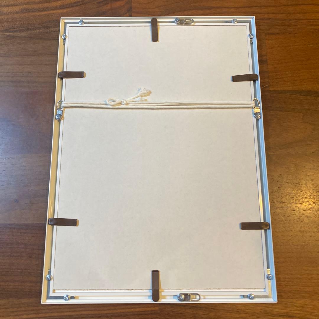 フェルナンド・アロンソ 直筆サイン入りフェラーリガイド ＆ 額装付きA4判写真