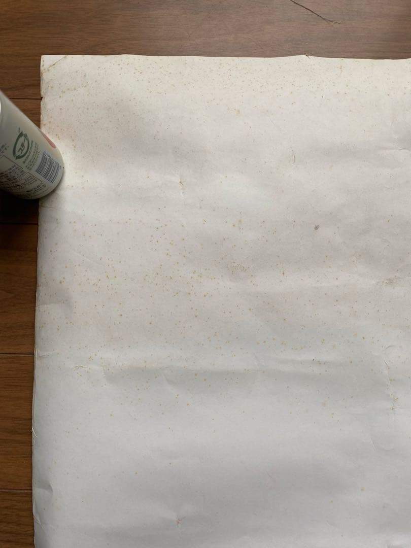 激レア！ヴィンテージ PHISH Billy Breathes ライブ・ポスター