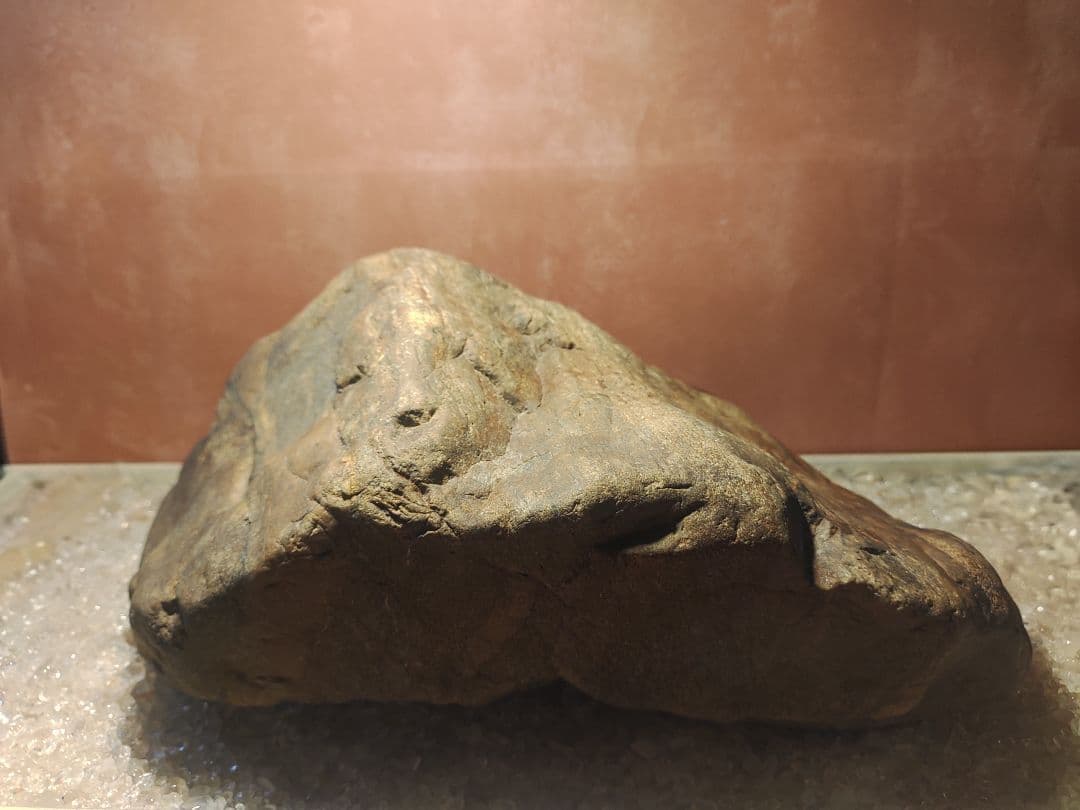 水石界の銘石『瀬田川石』鑑賞石　景石　天然石　ウブ石　#211