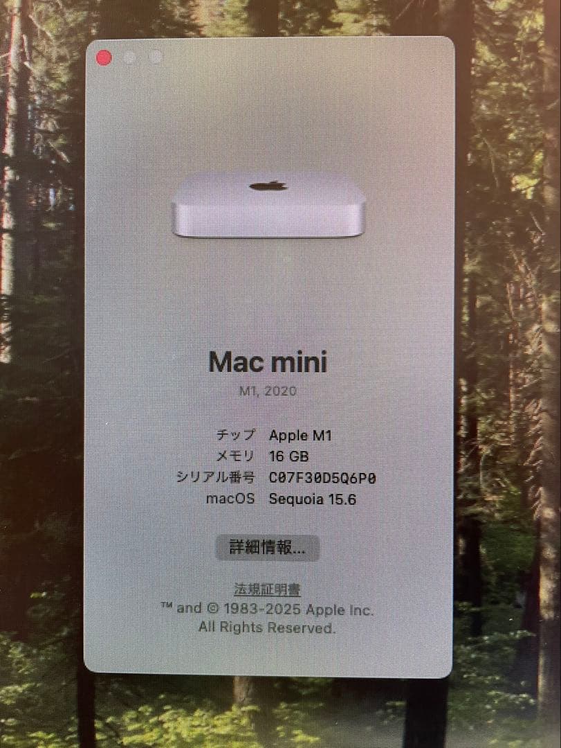 【16GB / 512GB】Mac mini M1 (2020) CTOモデル