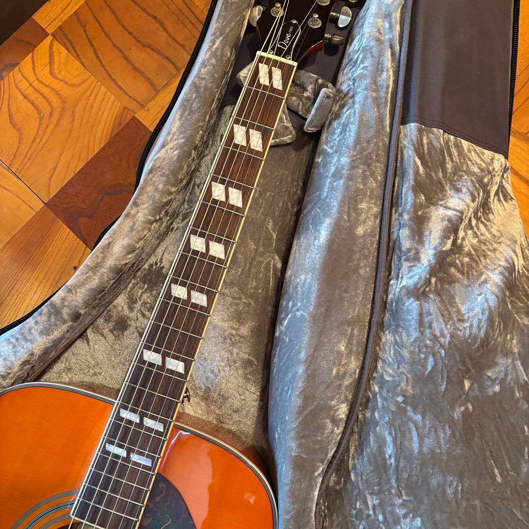 Epiphone Dove Pro エレアコ アコースティックギター