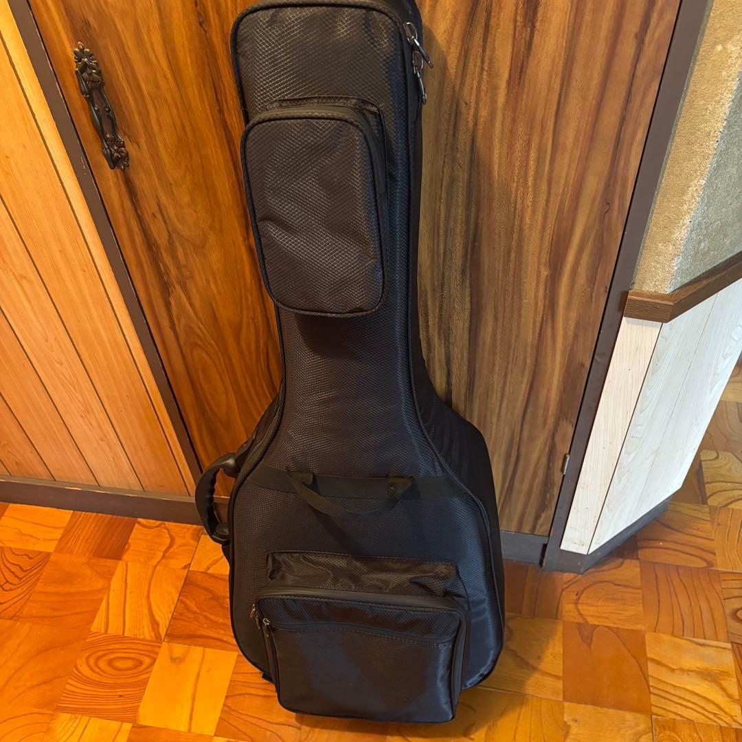 Epiphone Dove Pro エレアコ アコースティックギター