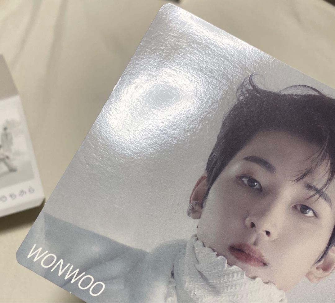 SEVENTEEN ウォヌ あいのちから ポストカード等セット セブチ