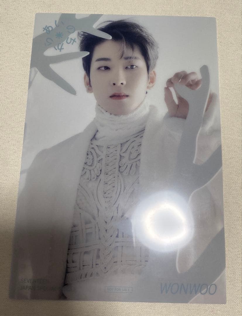 SEVENTEEN ウォヌ あいのちから ポストカード等セット セブチ