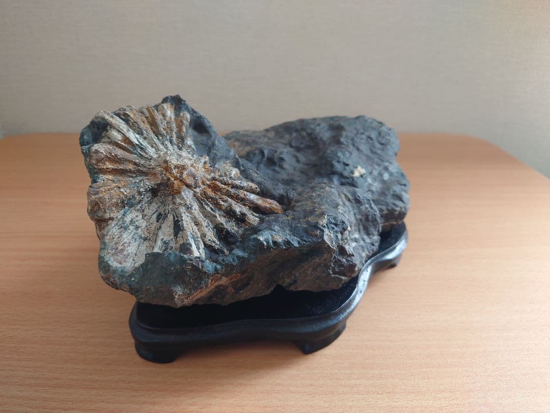 菊花石　鑑賞石　水石