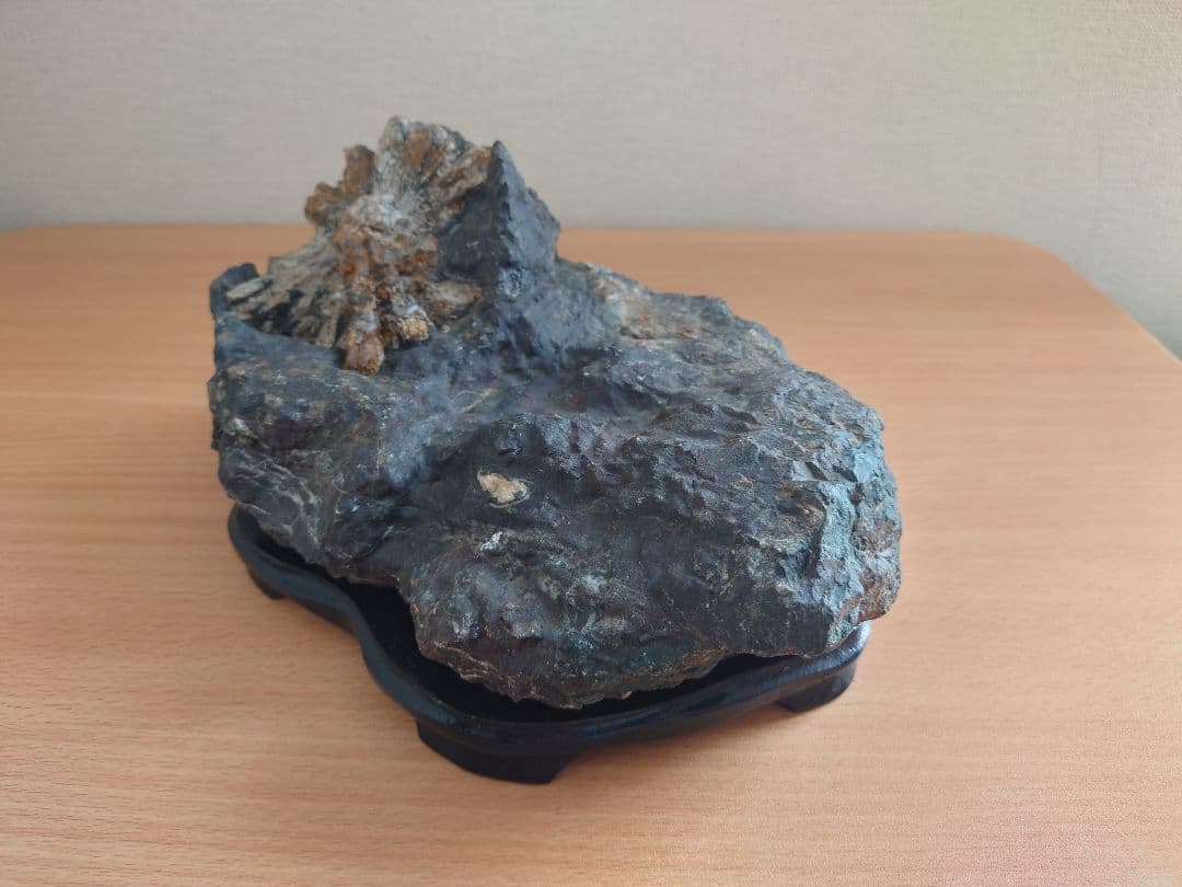 菊花石　鑑賞石　水石