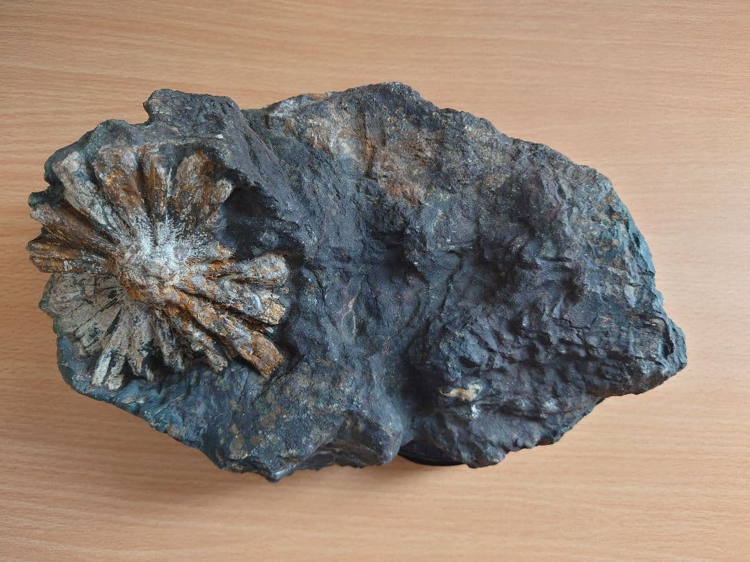 菊花石　鑑賞石　水石