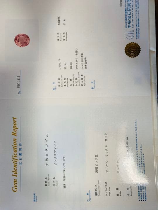 ピンクサパイッヤ