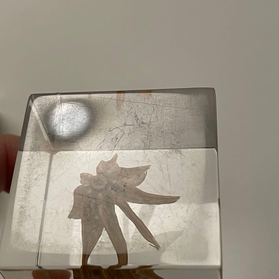 ウサギノネドコ★Sola cube★ソラキューブ★うさぎの寝床