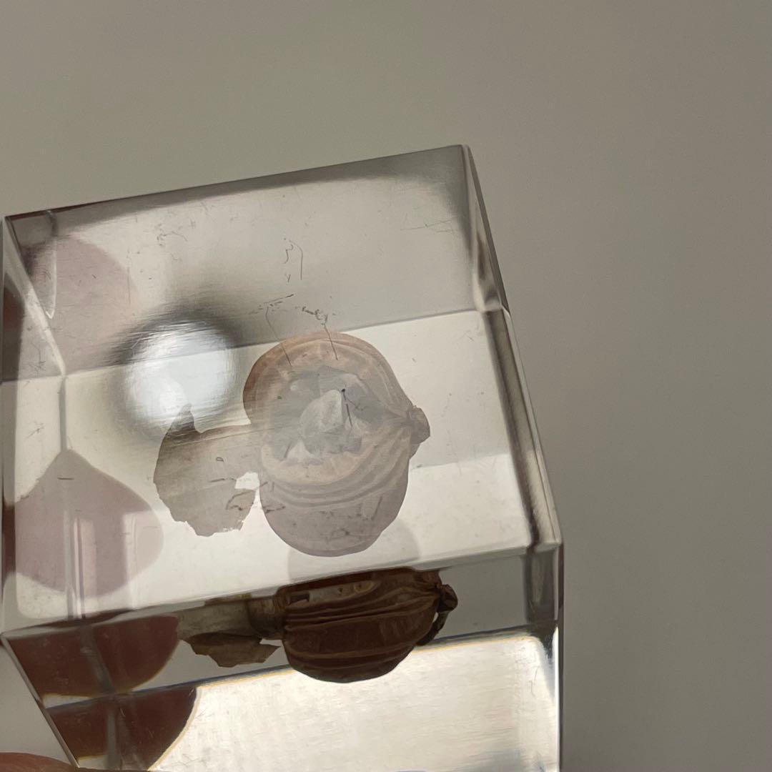 ウサギノネドコ★Sola cube★ソラキューブ★うさぎの寝床