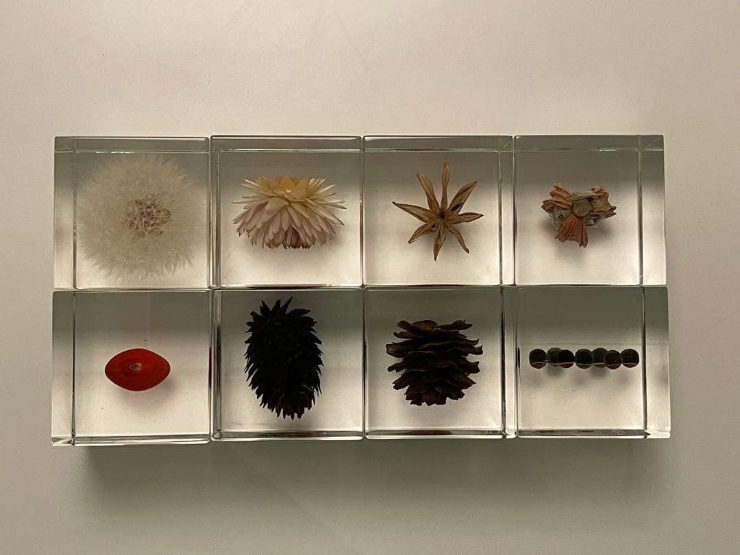 ウサギノネドコ★Sola cube★ソラキューブ★うさぎの寝床