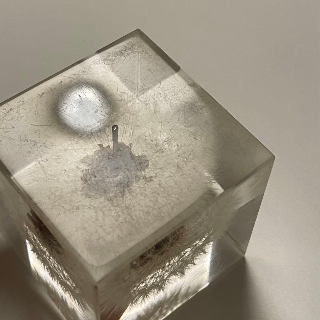 ウサギノネドコ★Sola cube★ソラキューブ★うさぎの寝床