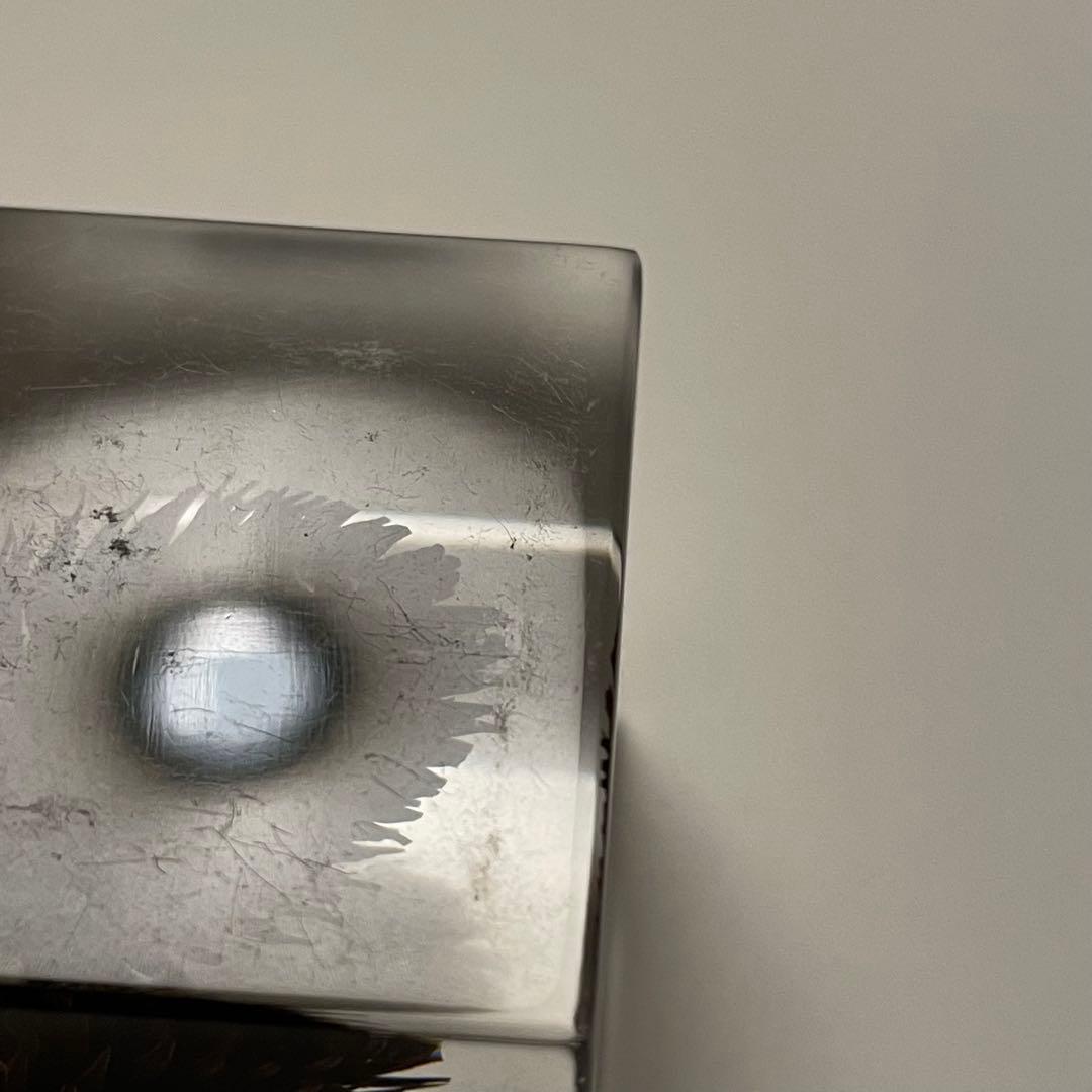 ウサギノネドコ★Sola cube★ソラキューブ★うさぎの寝床