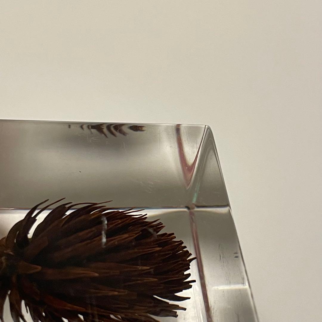 ウサギノネドコ★Sola cube★ソラキューブ★うさぎの寝床