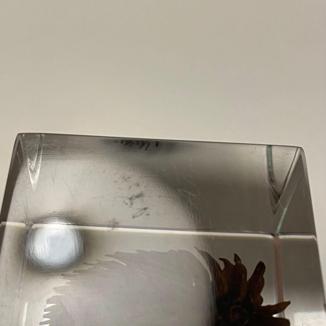 ウサギノネドコ★Sola cube★ソラキューブ★うさぎの寝床