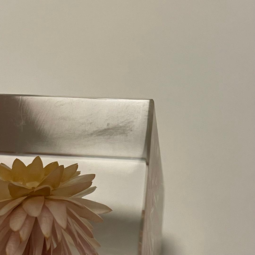 ウサギノネドコ★Sola cube★ソラキューブ★うさぎの寝床