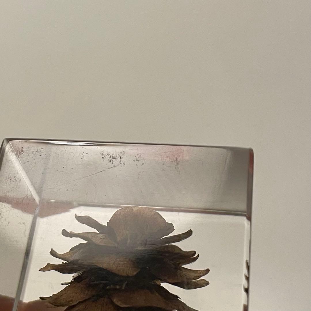 ウサギノネドコ★Sola cube★ソラキューブ★うさぎの寝床