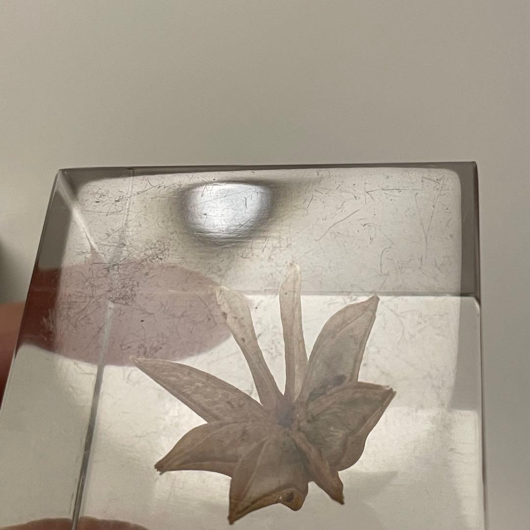 ウサギノネドコ★Sola cube★ソラキューブ★うさぎの寝床