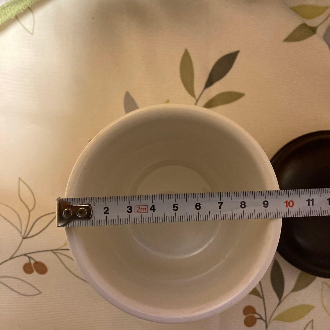 ビレロイ&ボッホ　　フォックスウッドテイルズ　蓋付き　キャニスター　保存容器