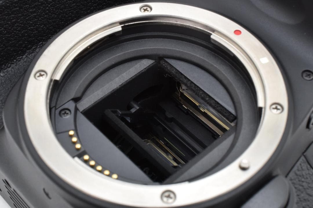 ■ 美品 ■ キャノン Canon EOS 9000D ボディ