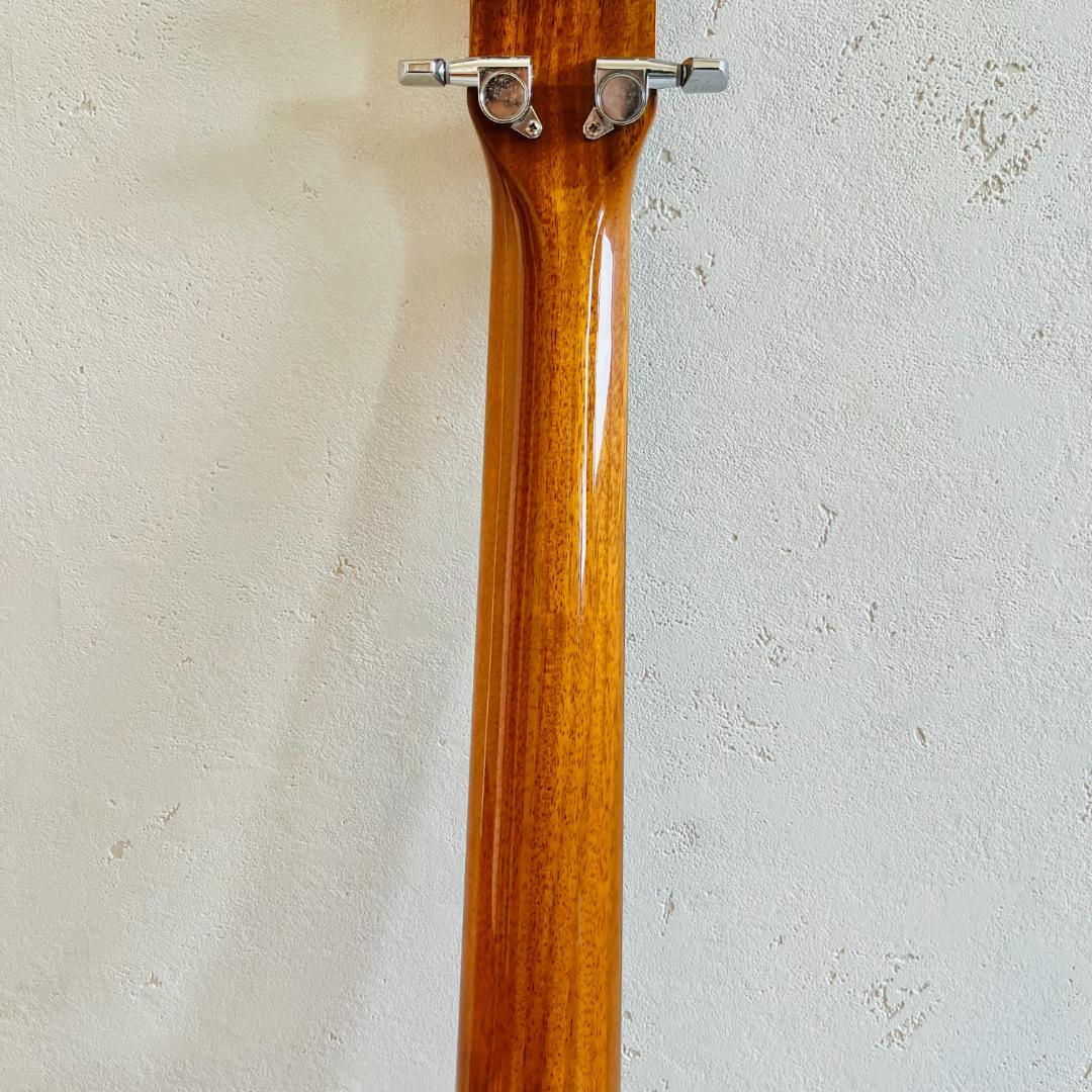 ✨️James✨️ アコースティックギター JFM-1NAT