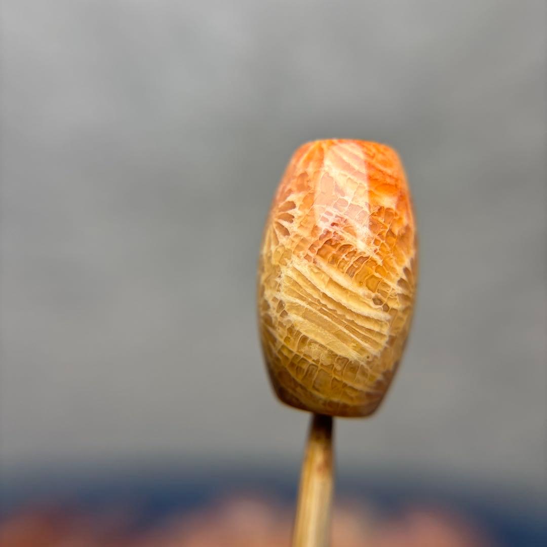 Nagiフォッシルコーラル　天珠　1-294