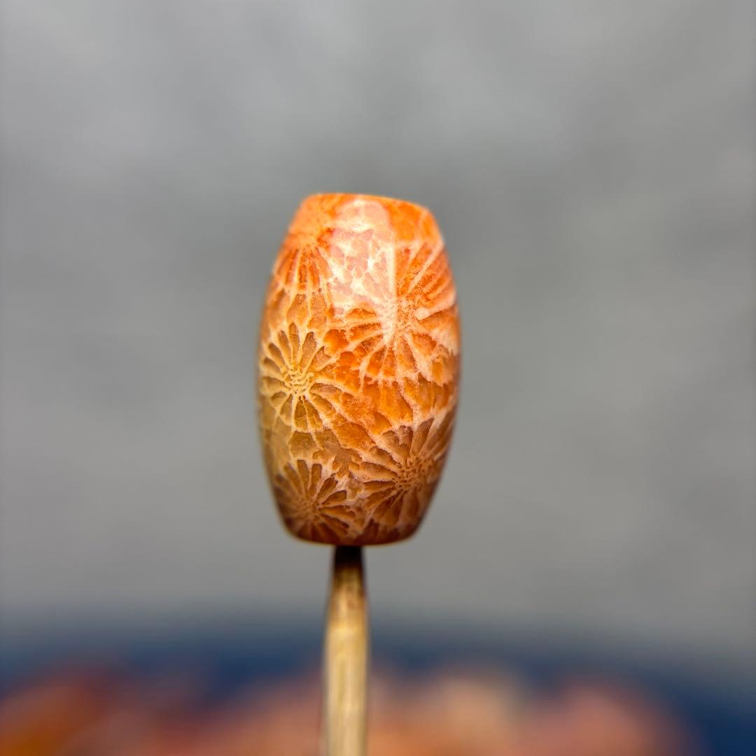 Nagiフォッシルコーラル　天珠　1-294