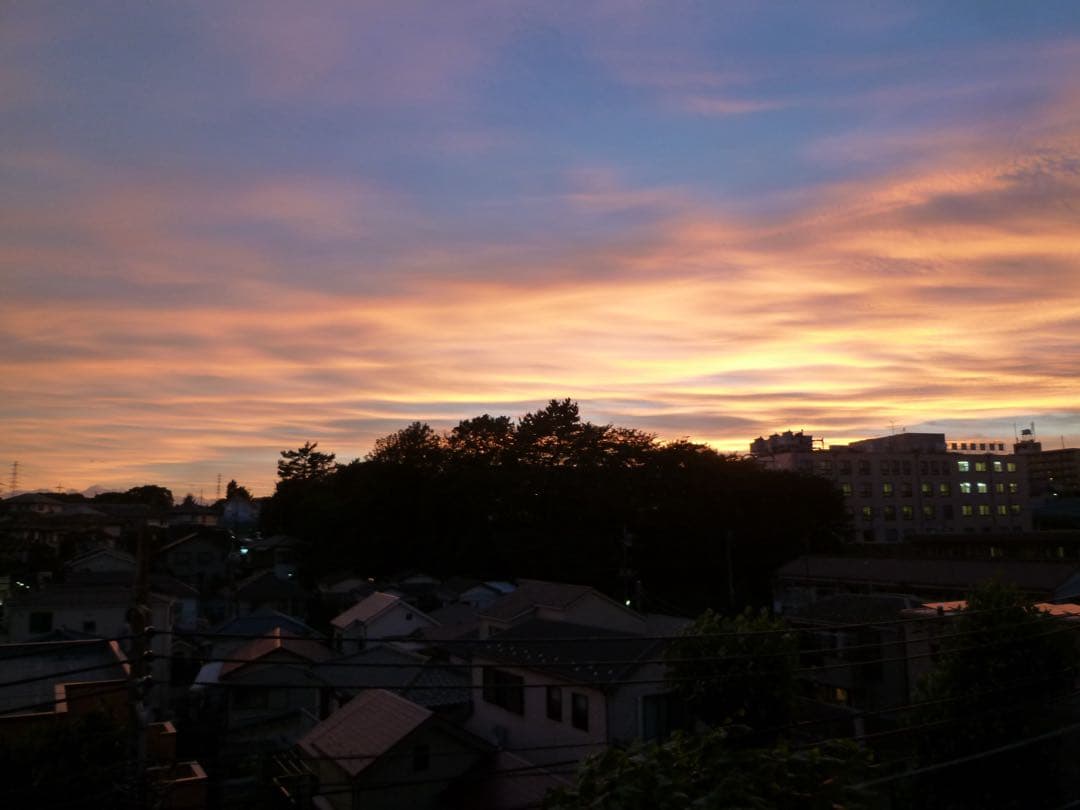 パナソニック LUMIX デジカメ DMC-FX60 動作確認済み 付属品多数