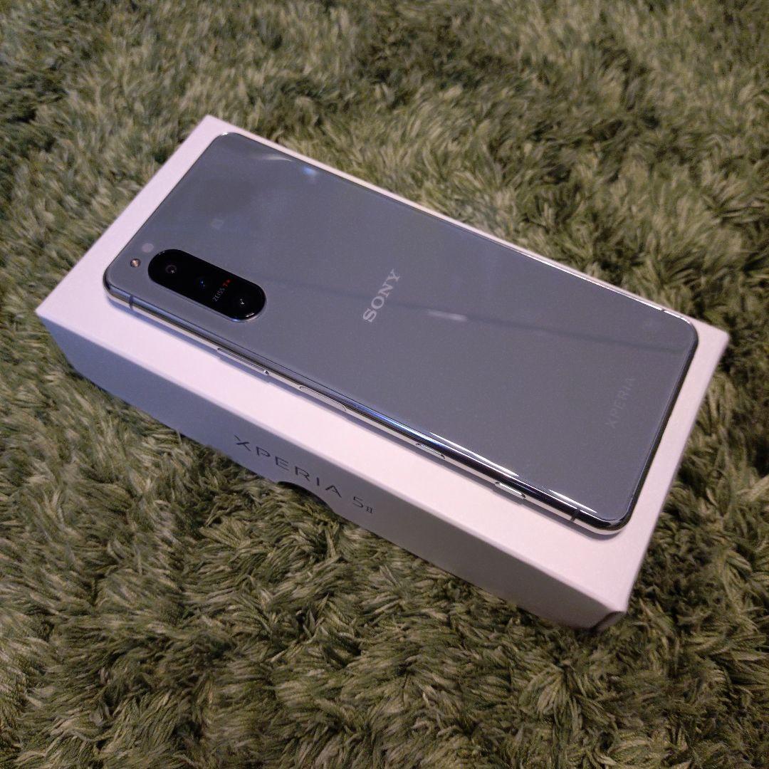 動作確認済み【横線あり】Xperia 5II SIMフリー Softbank