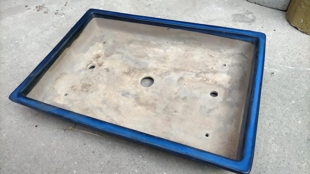 ※【 価格破壊 】※【 旧家土蔵品 】◆《 植木鉢・盆栽鉢( 特 大 鉢 ) 》