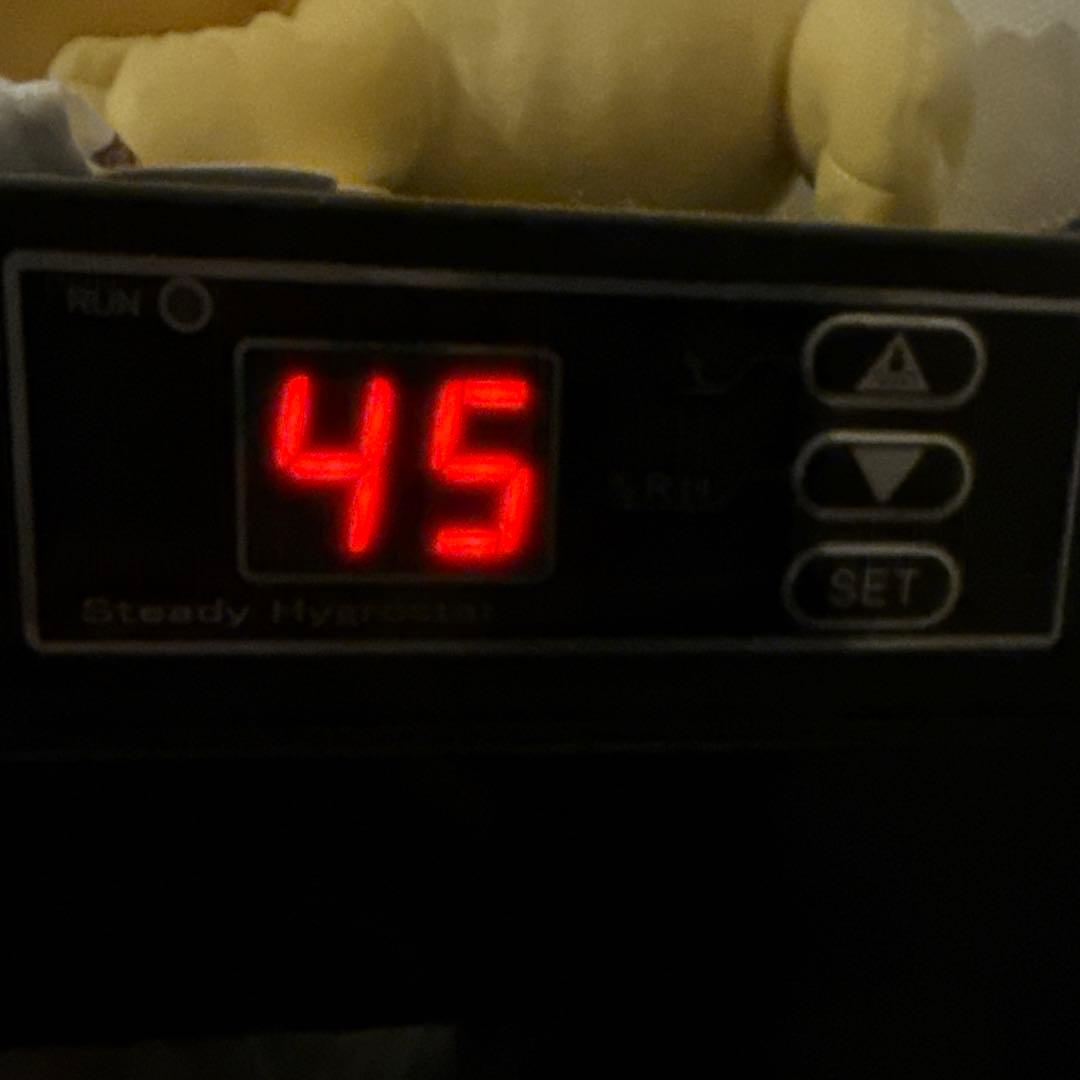 【防湿庫保管】ポケモンカード スタートデッキ100 コロコロコミックver