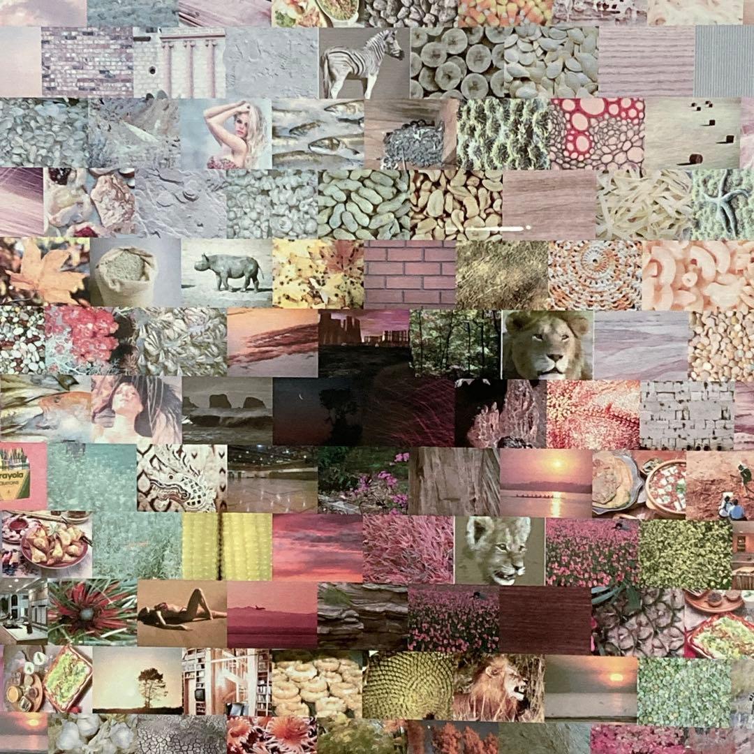 Neil Farkas モナリザ セリオリソグラフ 額装 現代アート