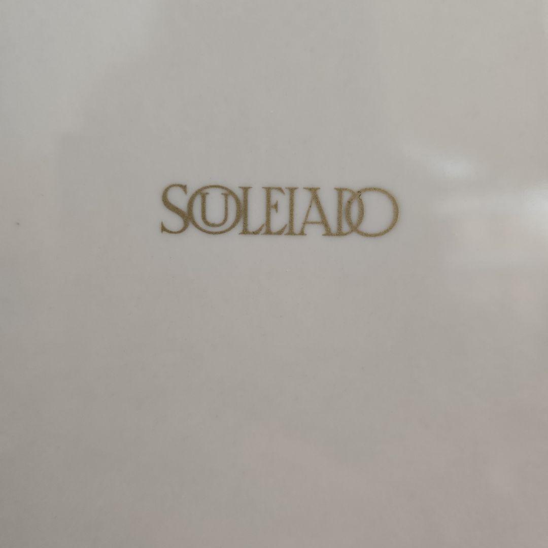 レンジトレー ソレイアード デシャン グリーン 大小 2サイズ トレイ 日本製