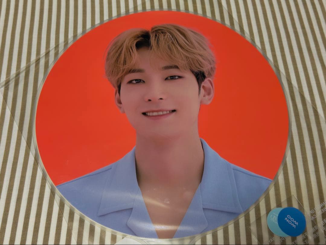 SEVENTEEN ウォヌ CARAT LAND 2021 うちわ