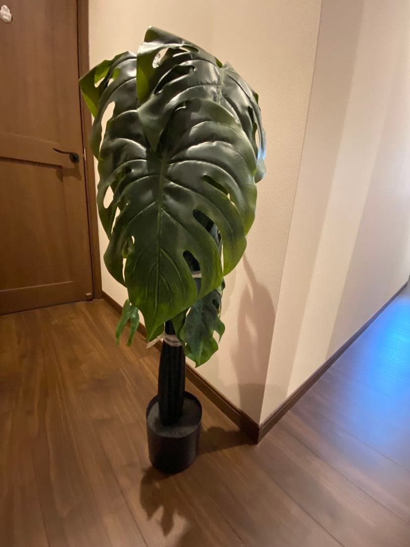 モンステラ　フェイクグリーン