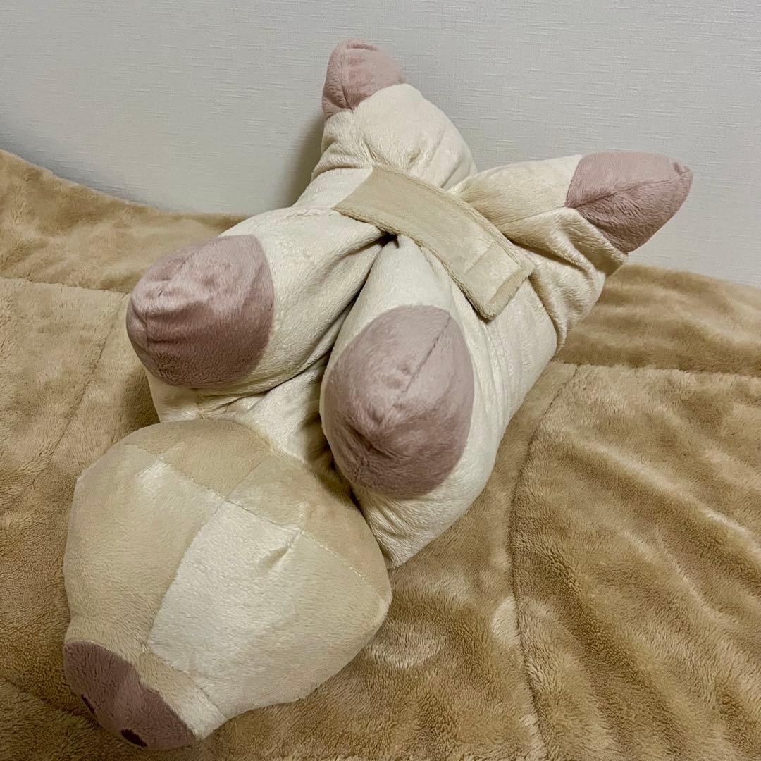 drug store's SHOP ノベルティ クッション ３点セット