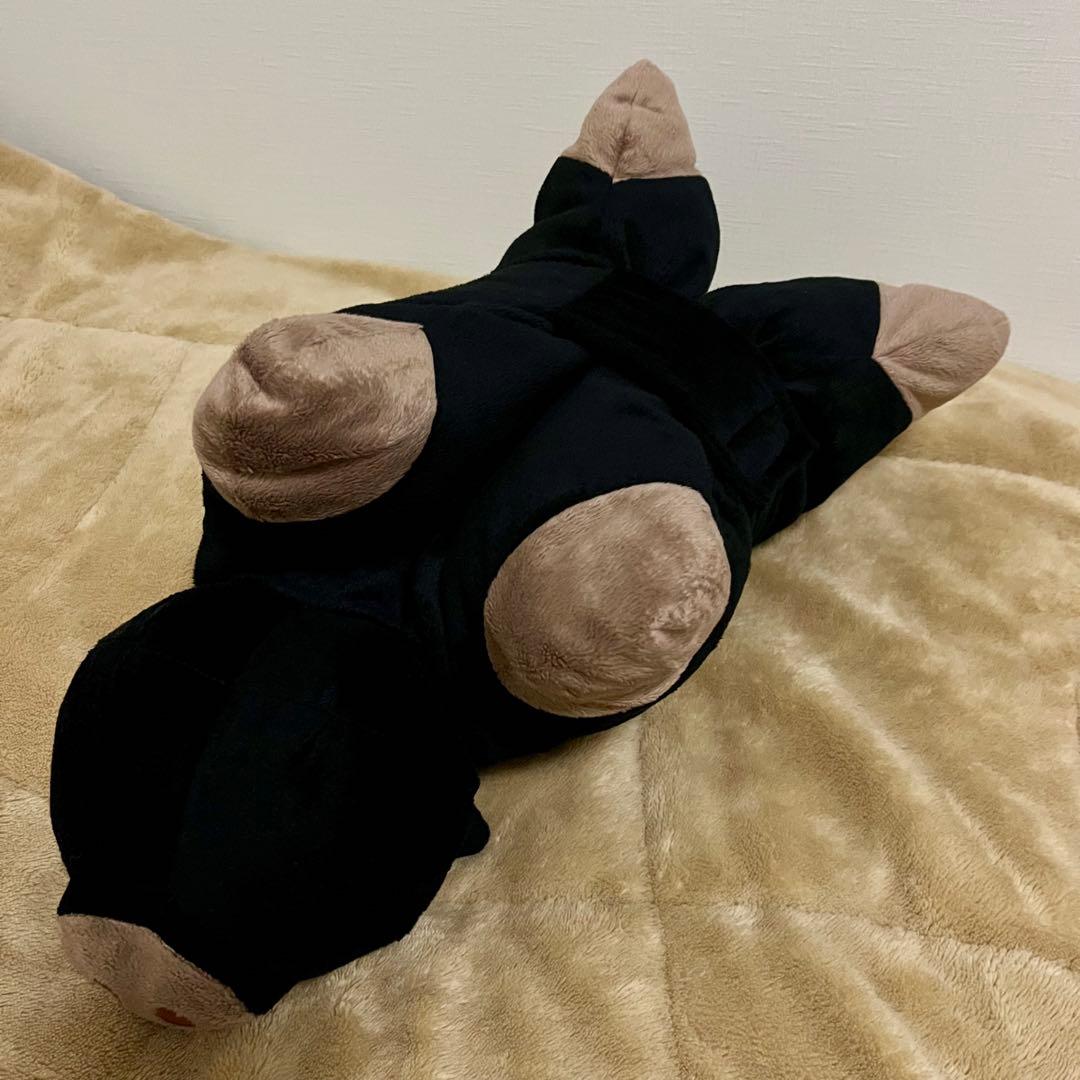 drug store's SHOP ノベルティ クッション ３点セット