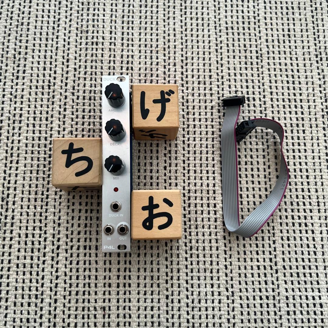 P4L DUCK ダッキングモジュール