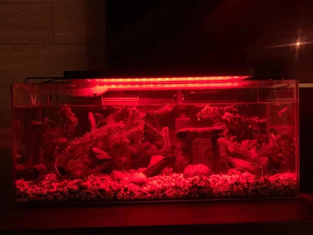 LED 水槽 アクアリウムライト 120cm～135cm タイマー付き