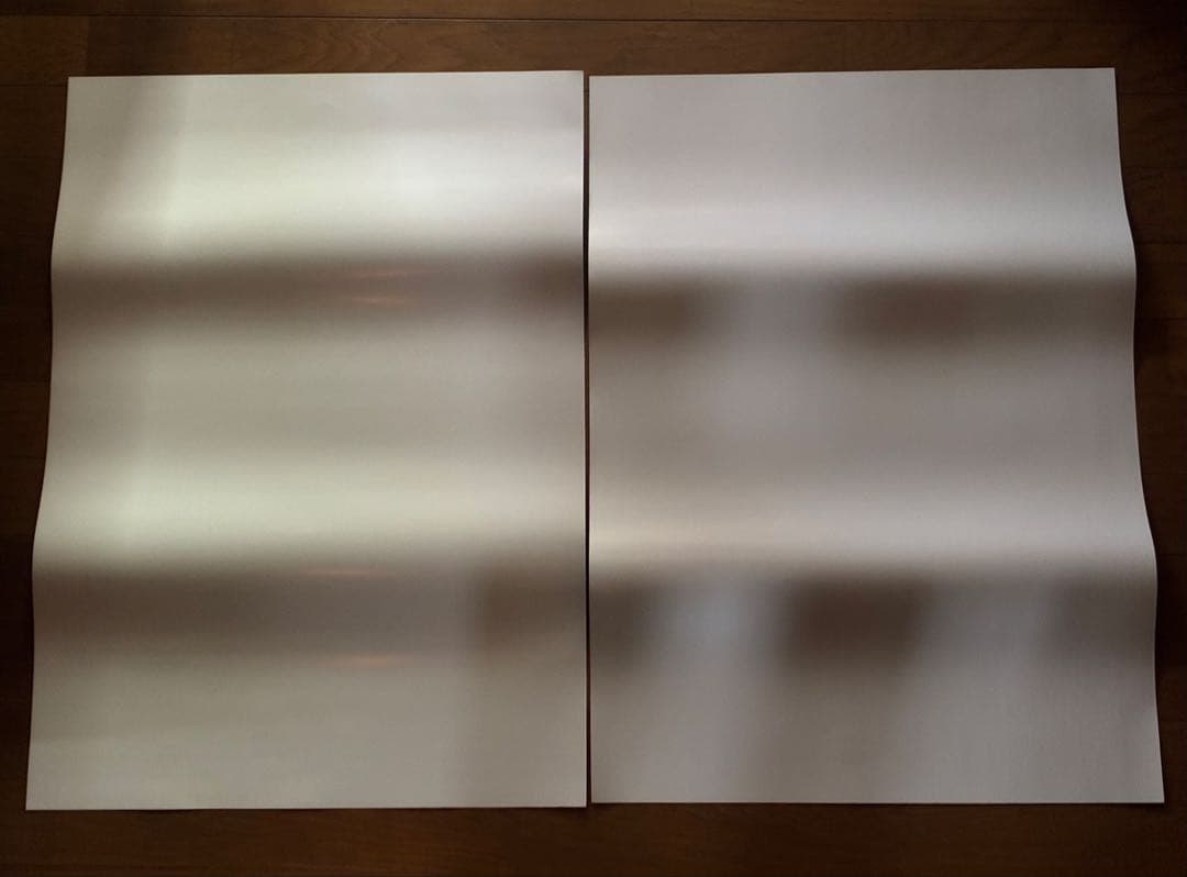 バイオハザード レクイエム B2ポスター 2種