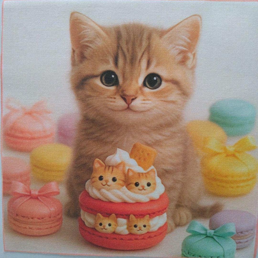 ☆受付☆猫